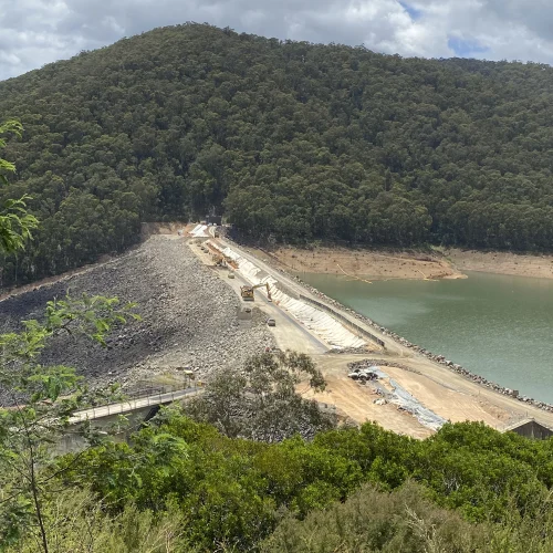 Photo 17-11-2020, 12 08 04 pm