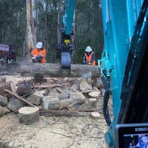 Photo 4-8-2021, 9 04 17 am